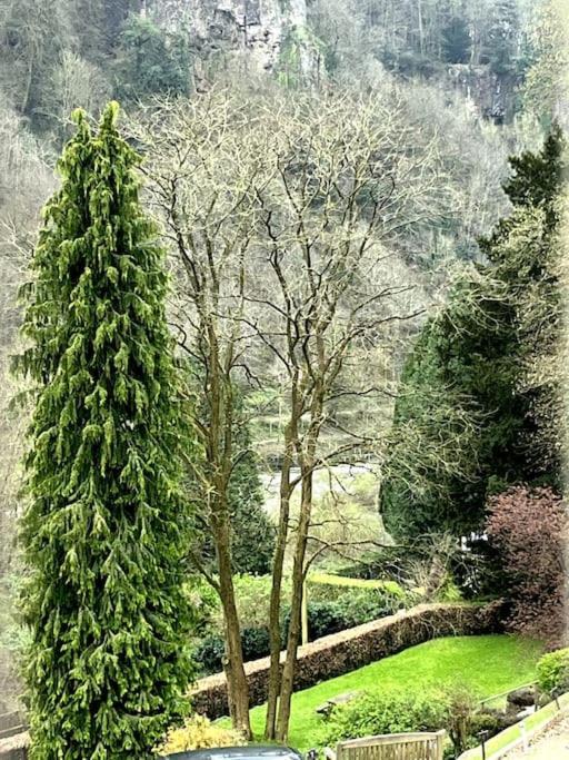 10 Wye Rapids Cottages Symonds Yat Exteriér fotografie